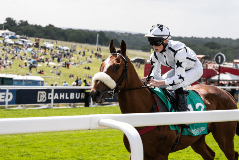 The Grand National I Am Maximus Aintree